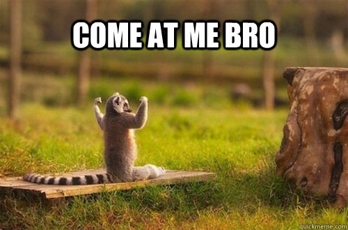Come at me Bro  Come at me bro