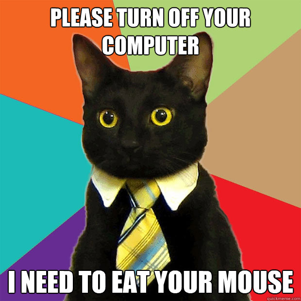 Please turn off your computer I need to eat your mouse - Please turn off your computer I need to eat your mouse  Business Cat