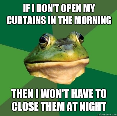 If I don't open my curtains in the morning Then I won't have to close them at night  Foul Bachelor Frog