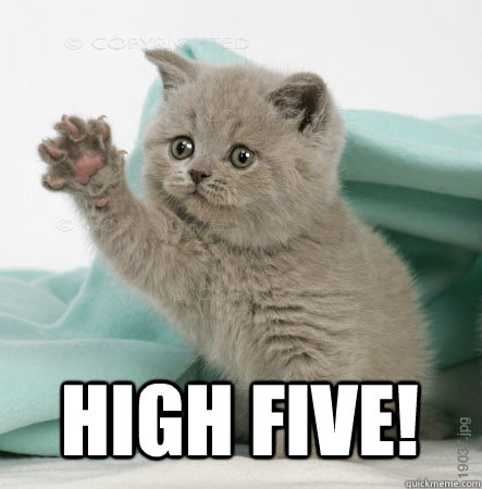 High five!   High Five Cat