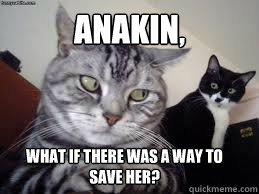 Anakin, what if there was a way to save her? - Anakin, what if there was a way to save her?  Suspicious Cat