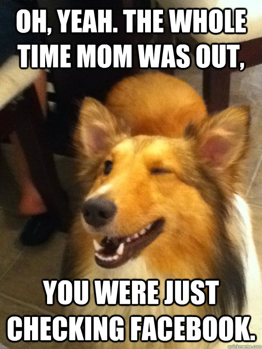 Oh, yeah. The whole time mom was out, You were just checking FaceBook.  
