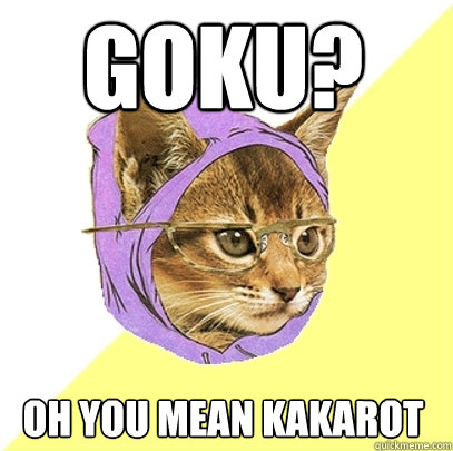 Goku? Oh you mean Kakarot  Hipster Kitty