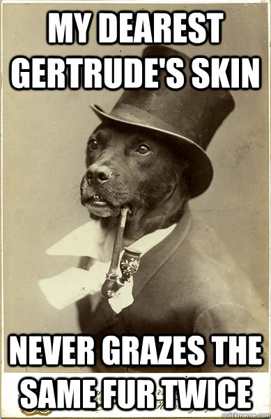My dearest gertrude's skin never grazes the same fur twice  Old Money Dog