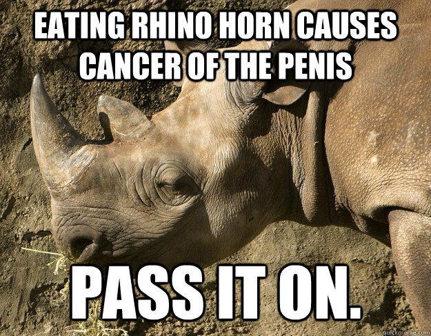 Eating rhino horn causes cancer of the penis pass it on. - Eating rhino horn causes cancer of the penis pass it on.  Rhino horn penis
