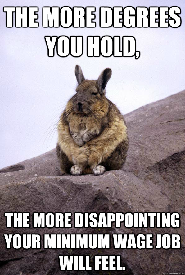 the more degrees you hold, the more disappointing your minimum wage job will feel.  Wise Wondering Viscacha