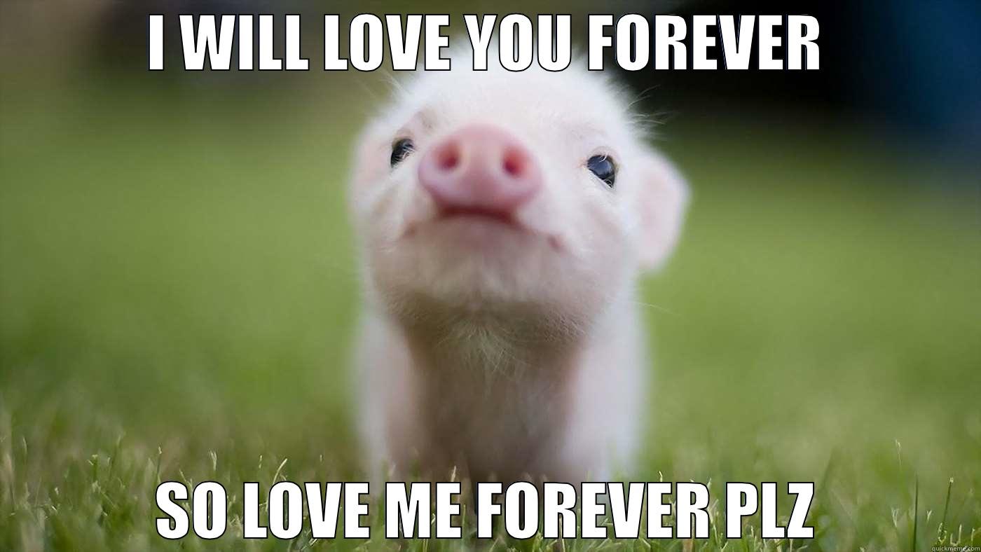 I WILL LOVE YOU FOREVER SO LOVE ME FOREVER PLZ Misc