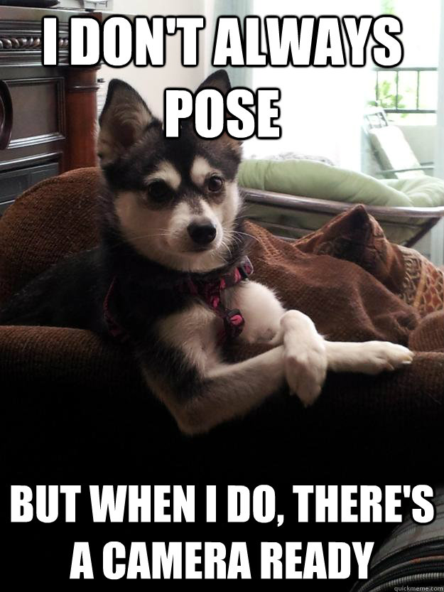 I don't always pose but when i do, there's a camera ready - I don't always pose but when i do, there's a camera ready  Misc