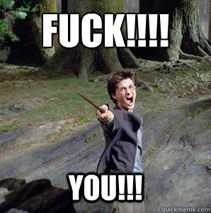 FUCK!!!!
 YOU!!!  Harry potter