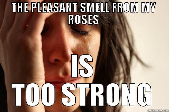 THE PLEASANT SMELL FROM MY ROSES IS TOO STRONG First World Problems