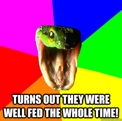 Turns out they were well fed the whole time!  Spoiler Snake