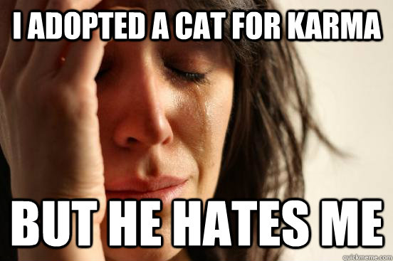I adopted a cat for karma but he hates me  First World Problems