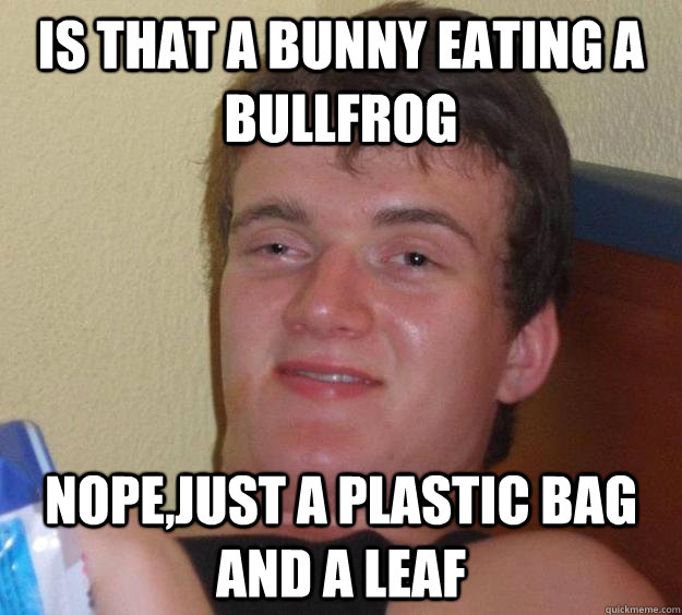 Is that a bunny eating a bullfrog nope,just a plastic bag and a leaf  10 Guy