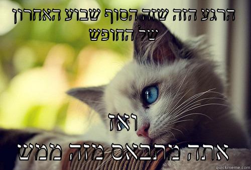 סוף שבוע - הרגע הזה שזה הסוף שבוע האחרון של החופש ואז אתה מתבאס מזה ממש First World Problems Cat