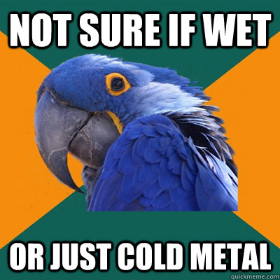 Not sure if wet or just cold metal  Paranoid Parrot
