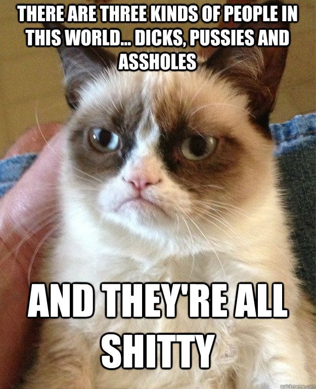 there are three kinds of people in this world... dicks, pussies and assholes and they're all shitty - there are three kinds of people in this world... dicks, pussies and assholes and they're all shitty  Grumpy Cat