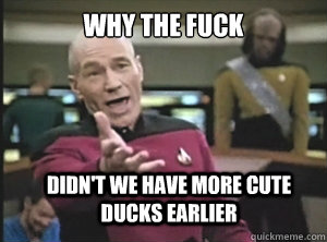 why the fuck didn't we have more cute ducks earlier  Annoyed Picard