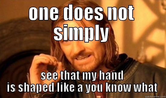 ONE DOES NOT SIMPLY SEE THAT MY HAND IS SHAPED LIKE A YOU KNOW WHAT Boromir