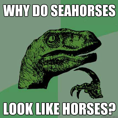Why do seahorses look like horses?  Philosoraptor