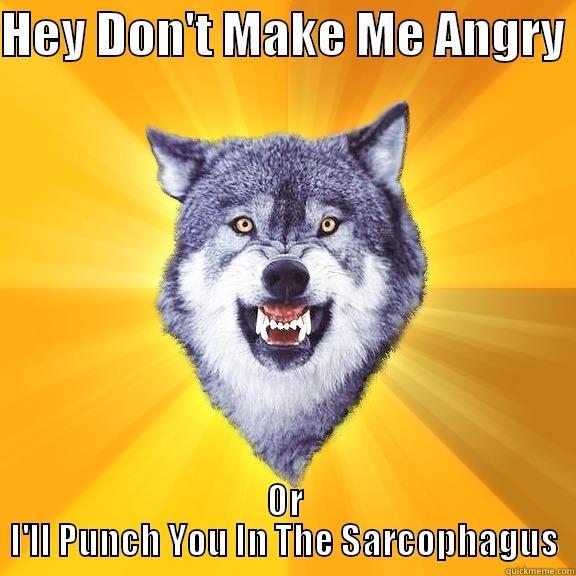 HEY DON'T MAKE ME ANGRY  OR I'LL PUNCH YOU IN THE SARCOPHAGUS Courage Wolf
