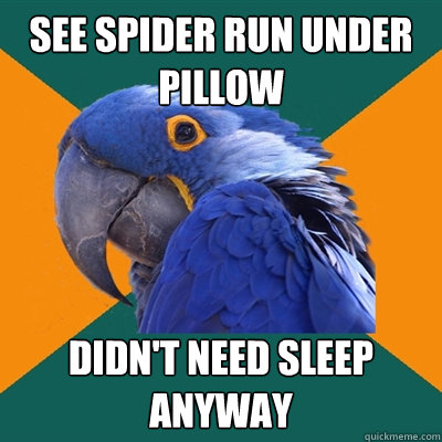 SEE SPIDER RUN UNDER PILLOW DIDN'T NEED SLEEP ANYWAY  Paranoid Parrot