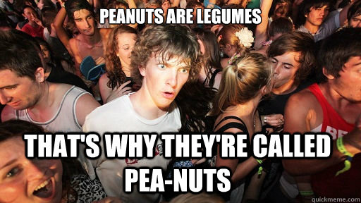 Peanuts are legumes that's why they're called pea-nuts  Sudden Clarity Clarence
