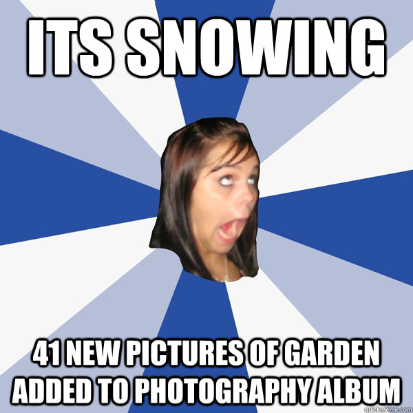 its snowing 41 new pictures of garden added to photography album  Annoying Facebook Girl