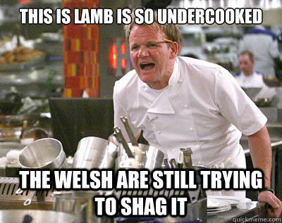 THIS IS LAMB IS SO UNDERCOOKED THE WELSH ARE STILL TRYING TO SHAG IT  Chef Ramsay