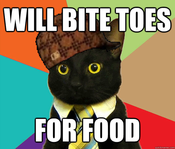 will bite toes for food  Scumbag Cat
