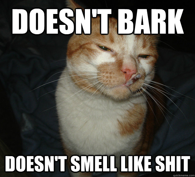 Doesn't bark Doesn't smell like shit  Good Guy Cat