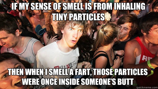 If my sense of smell is from inhaling tiny particles  then when I smell a fart, those particles were once inside someone’s butt  Sudden Clarity Clarence