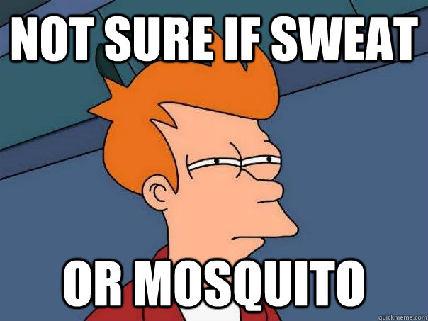 Not sure if sweat Or mosquito  Futurama Fry