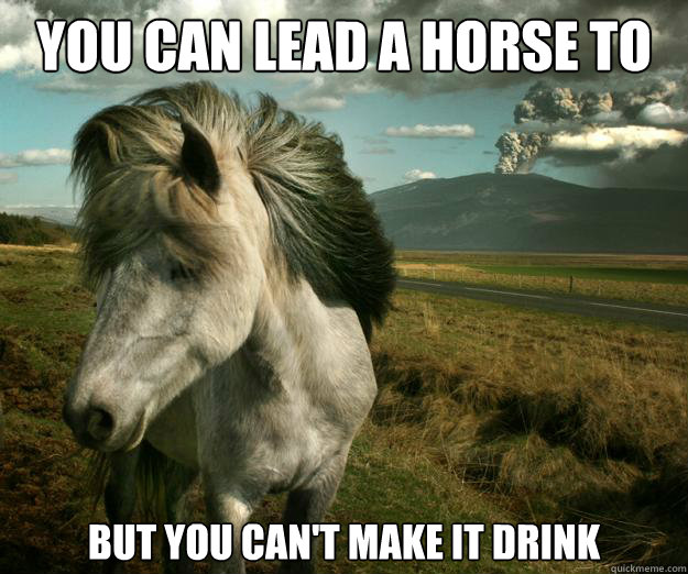 you can lead a horse to water but you can't make it drink  
