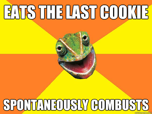 eats the last cookie spontaneously combusts  Karma Chameleon