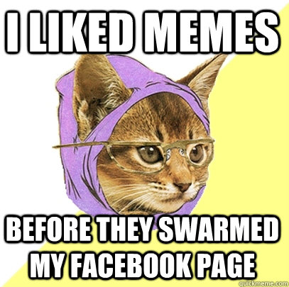 I liked memes Before they swarmed my facebook page  Hipster Kitty