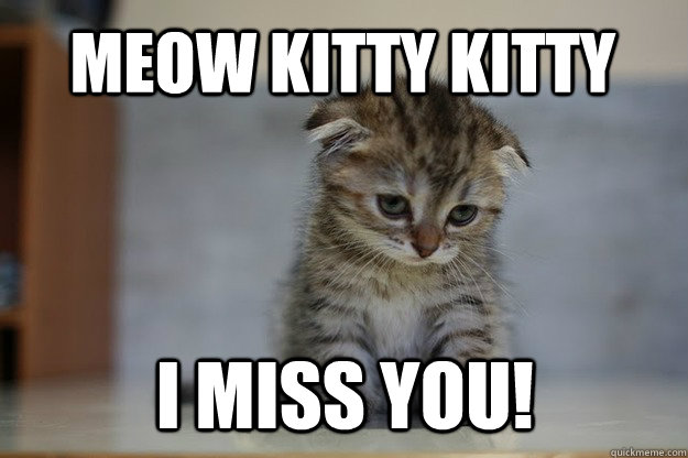 MEOW KITTY KITTY I MISS YOU!  Sad Kitten