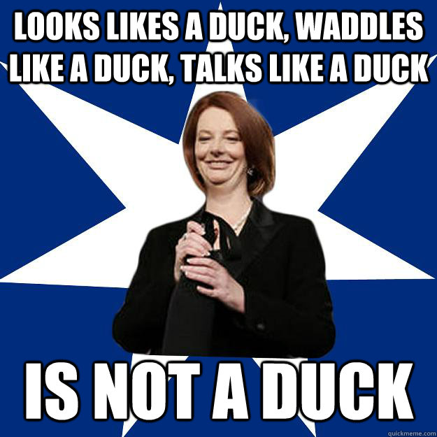 Looks likes a duck, waddles like a duck, talks like a duck is not a duck  