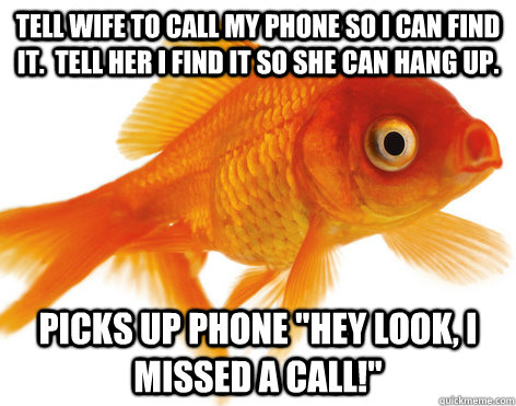 Tell wife to call my phone so I can find it.  Tell her I find it so she can hang up. Picks up phone 