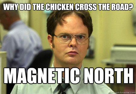 Why did the chicken cross the road?
 magnetic north  Schrute