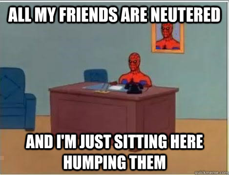 All my friends are neutered And I'm just sitting here humping them  Im just sitting here masturbating