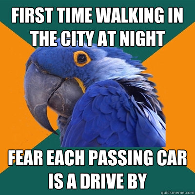 First time walking in the city at night Fear each passing car is a drive by  Paranoid Parrot