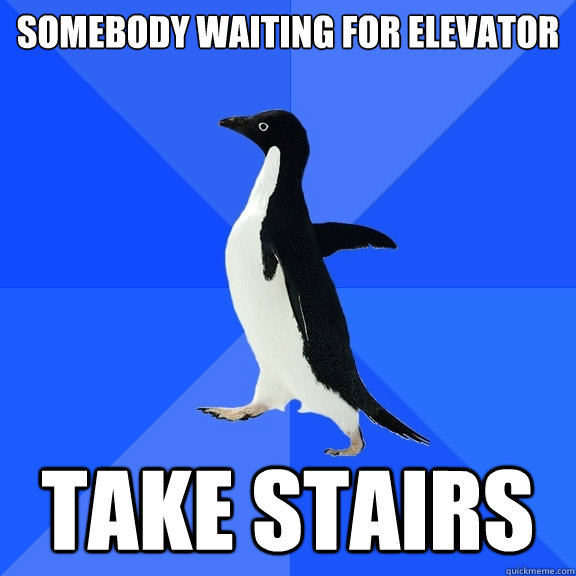 Somebody waiting for elevator take stairs  Socially Awkward Penguin