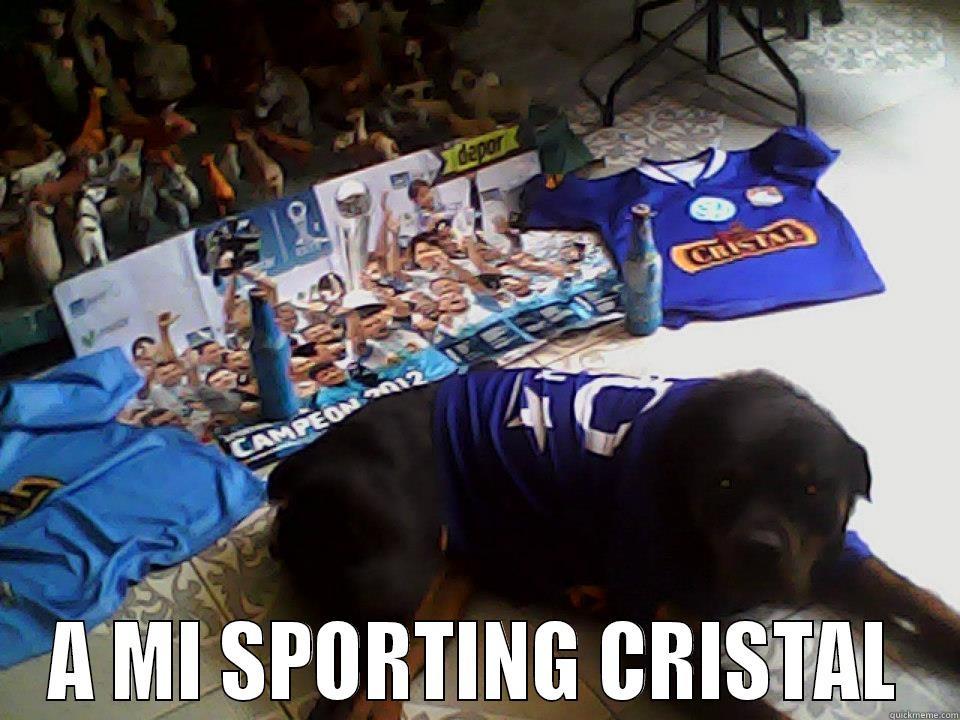  XQXQ  azx -   A MI SPORTING CRISTAL Misc