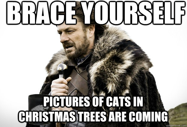 Brace Yourself  Pictures of cats in christmas trees are coming  Tea break Ned Stark