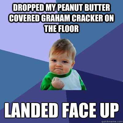 Dropped my Peanut Butter covered Graham Cracker on the Floor Landed Face Up  Success Kid
