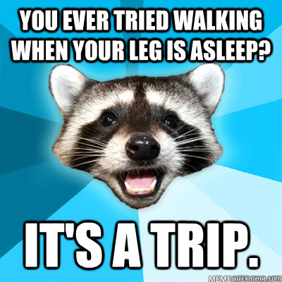 You ever tried walking when your leg is asleep? It's a trip.   Lame Pun Raccoon