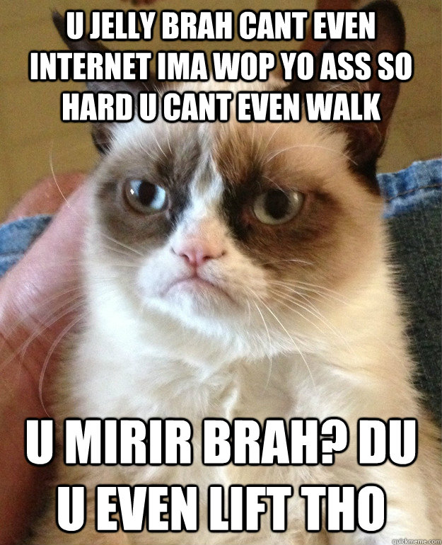 u jelly brah cant even internet ima wop yo ass so hard u cant even walk u mirir brah? du u even lift tho  Grumpy Cat