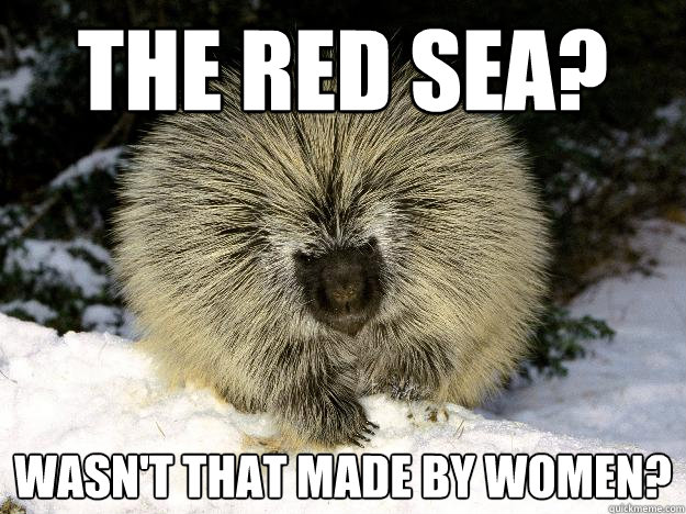 The red sea? Wasn't that made by women? - The red sea? Wasn't that made by women?  Overly Racist Porcupine