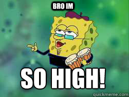 BRO IM  SO HIGH!  
