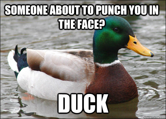 someone about to punch you in the face? duck  Actual Advice Mallard